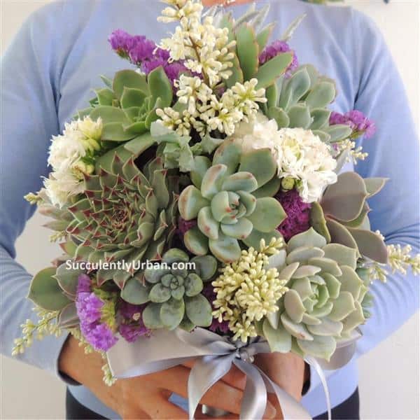 Succulent Bouquet Gallery