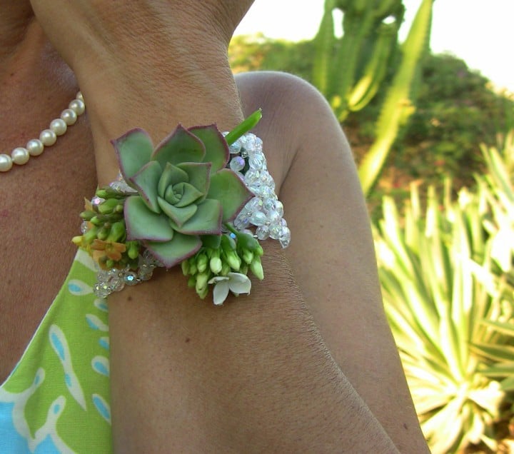 Succulent-corsage-d-e1426459046939-720x636.jpg