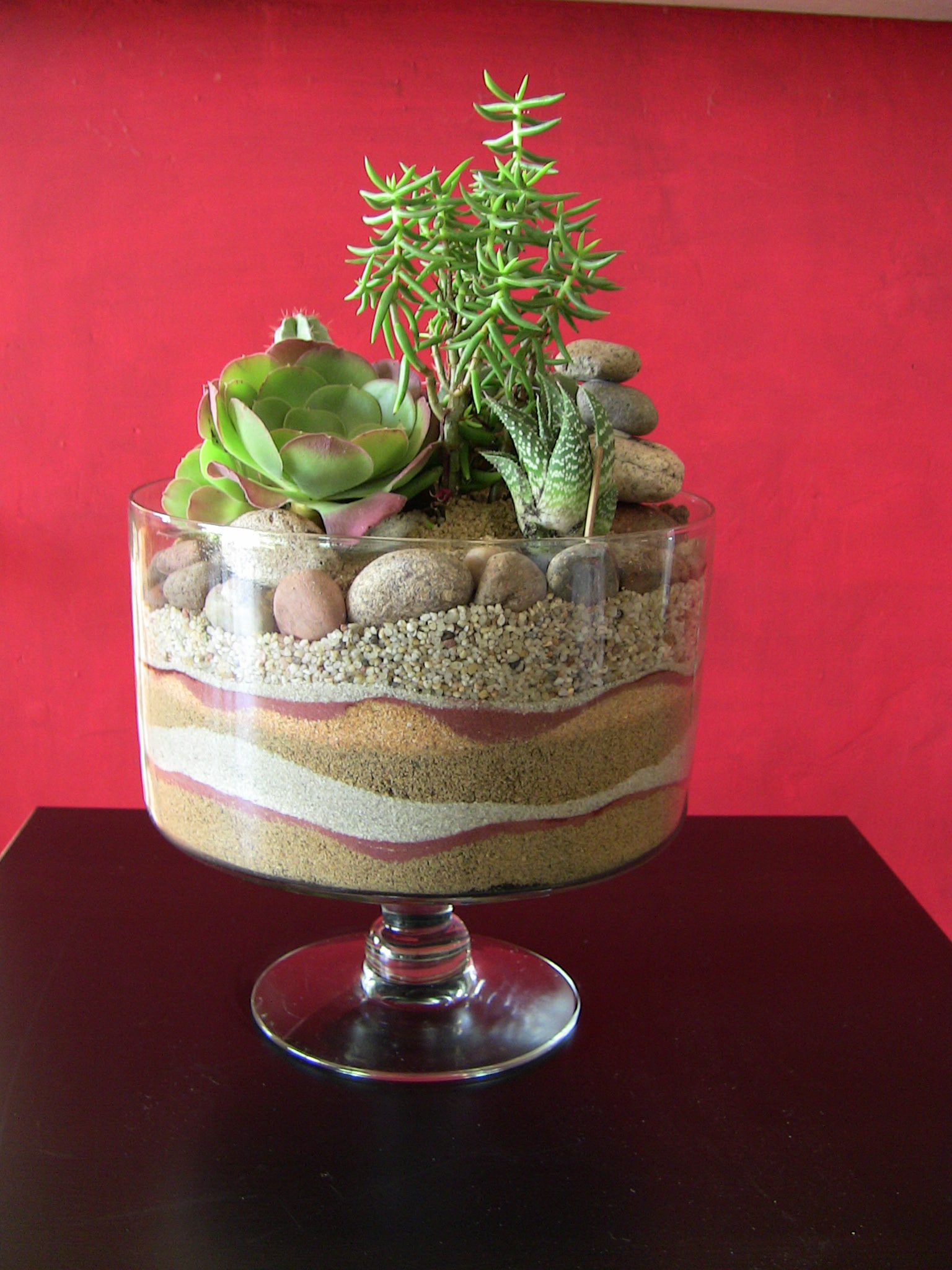 Succulent Terrarium Desert Trifle Urban Succulents