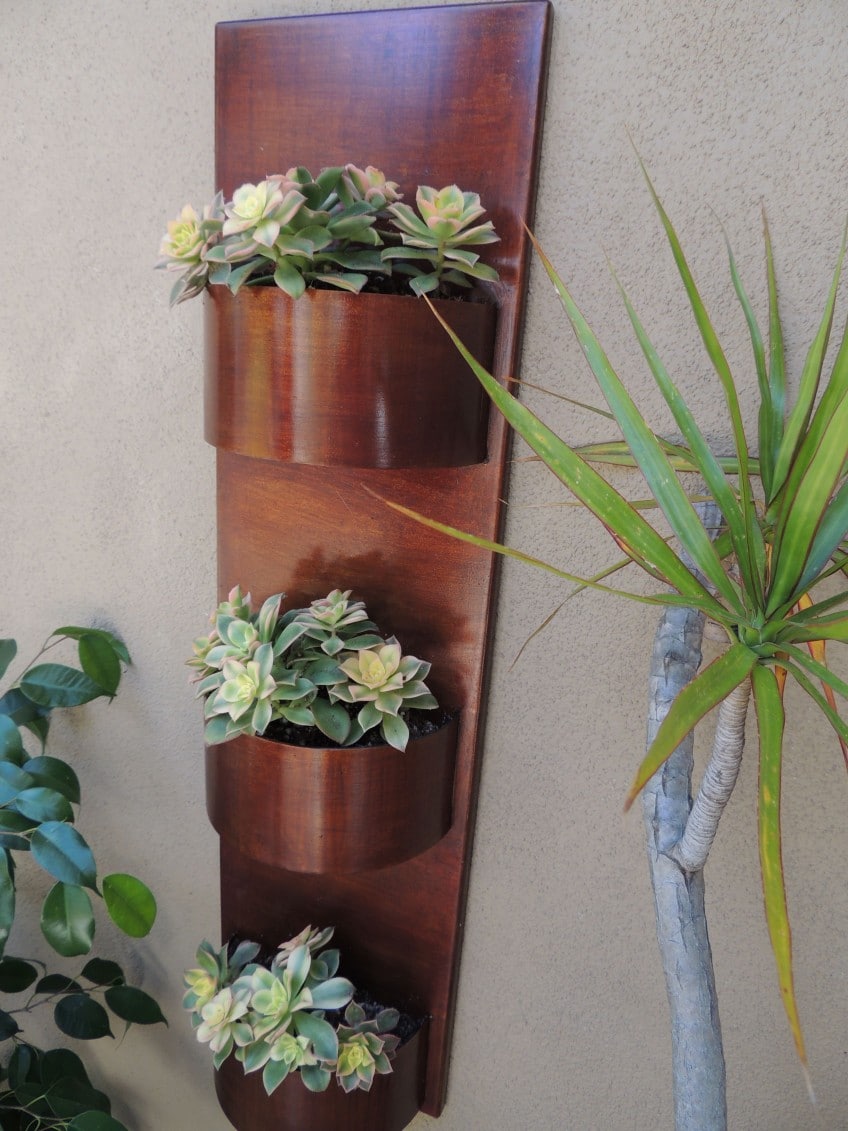 Vertical Planter Urban Succulents