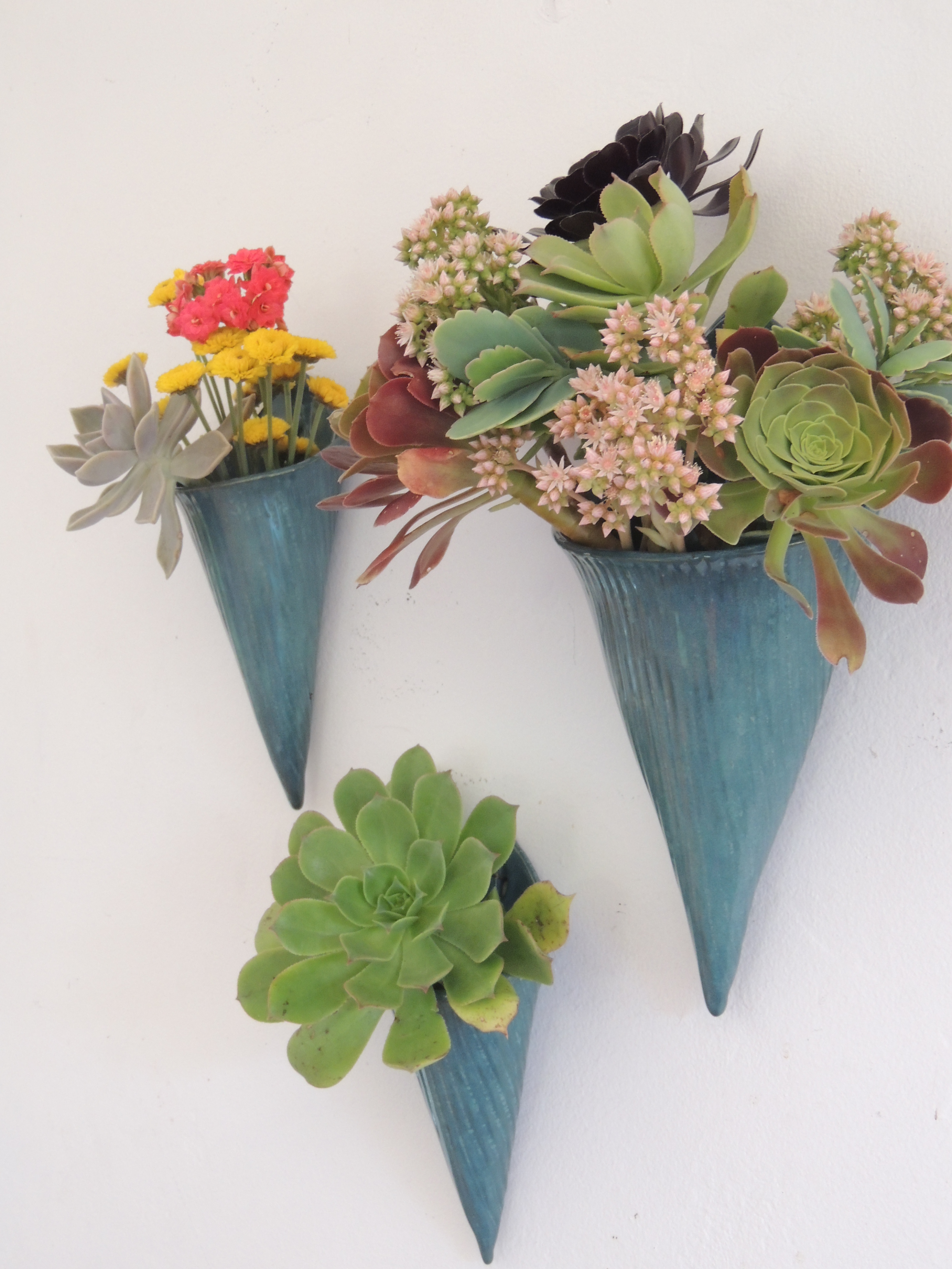 Ceramic Cone Small Urban Succulents