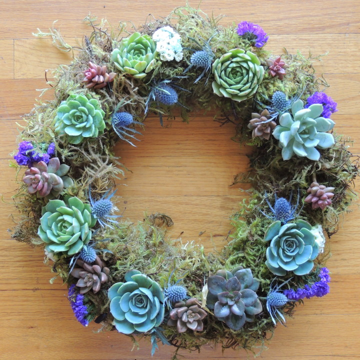 Succulent Wreath Urban Succulents
