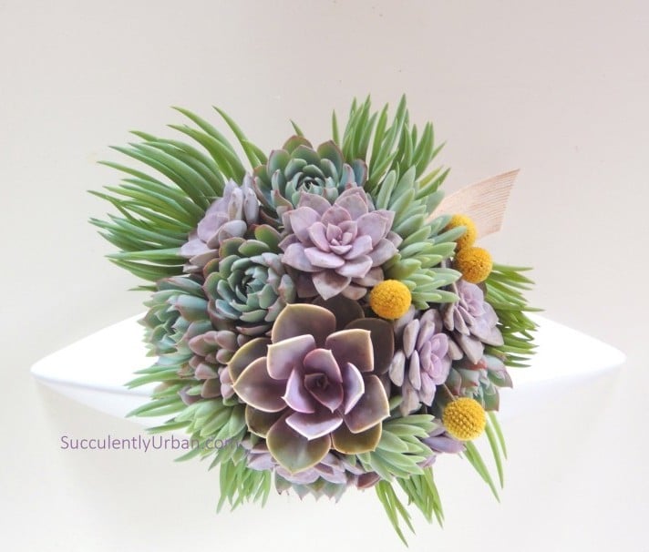 Succulent Bouquet Gallery Urban Succulents