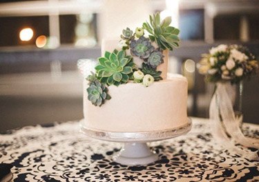 Succulent cake toppers