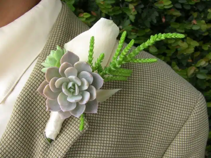 Succulent-boutonnire_2419