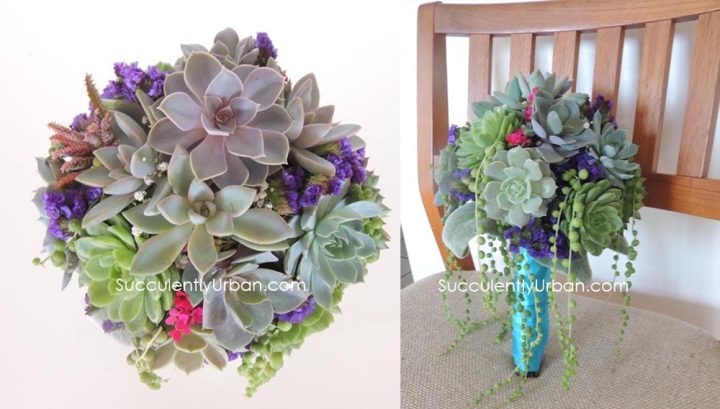Succulent-Bouquet-purple_375