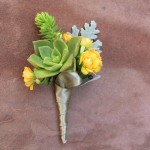 Green gray and yellow Succulent boutonniere with dusty miller leaf