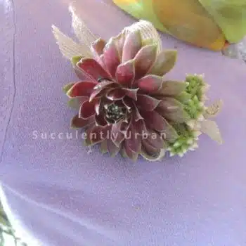 Pin Corsage