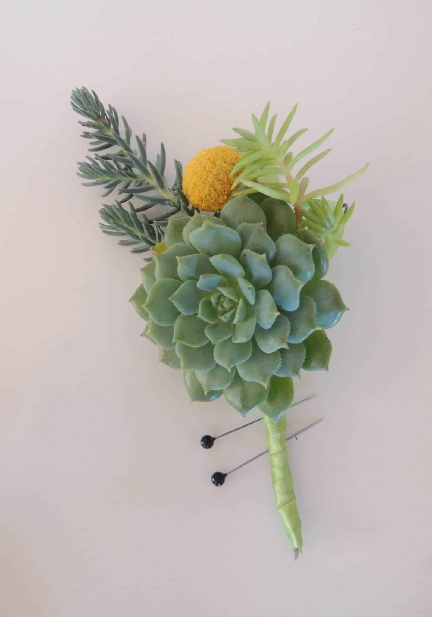 Succulent-boutonnieres with crespedia
