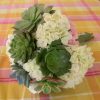 Succulent bouquet with pink carnations and white hydrangeas.
