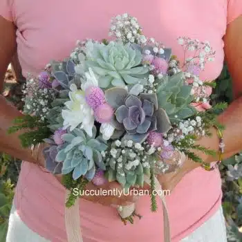 Succulent Bouquet "Stephanie"