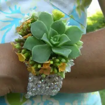 Succulent Corsages