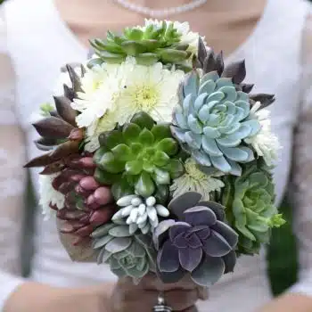 Succulent-Bouquet "Nessa"