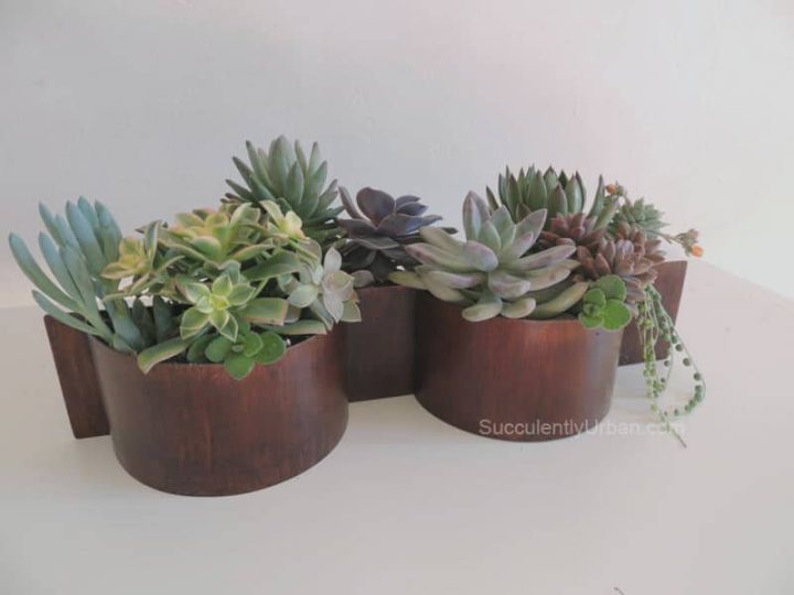 jardinera-3 Metal Planter