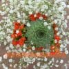 Single-succulent-bouquet_5608