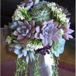 succulent-bouquet- Mollie