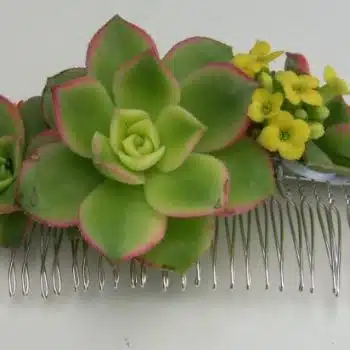 Wedding Hair Combs