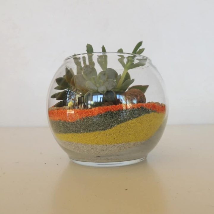 Succulent Terrarium Kit 4.5" Urban Succulents