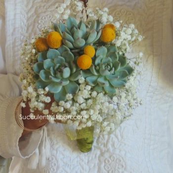 Succulent Bouquet with crespedias