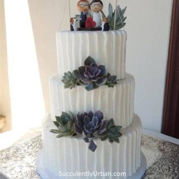 Succulent Cake Toppers