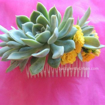 Succulent Hair Comb