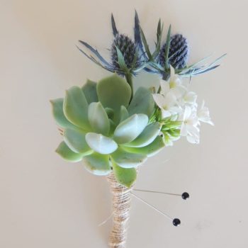 Succulent and Thistle