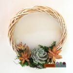 succulent hoop