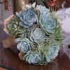 Bouquet Green succulents and tillandsias