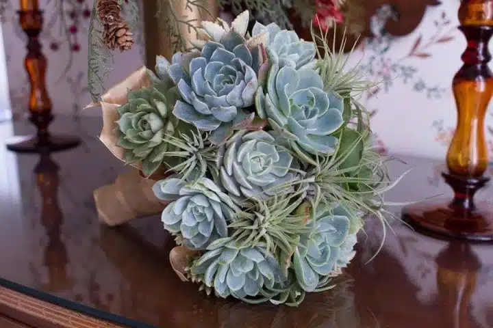 Bouquet Green succulents and tillandsias