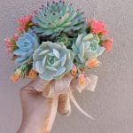 Succulent wedding bouquet with sempervivum hen and chicks