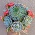 Succulent wedding bouquet