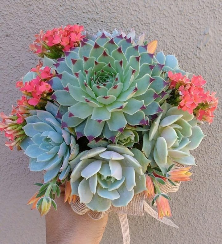 Succulent wedding bouquet