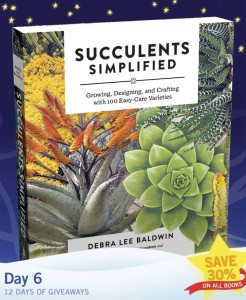 Succulents Simplified