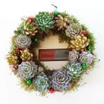Christmas wreath with succulents.