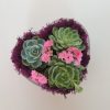Heart shape dish with succulents for valentine-mothers-day gift.