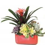 Bromeliad and succulent arrangement