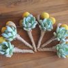 Succulent-boutonnieres with crespedia