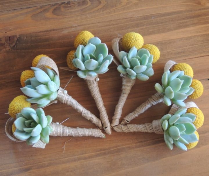 Succulent-boutonnieres with crespedia