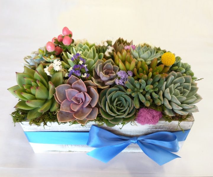 Succulent arrangement in 12 by 6 wood box