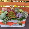 succulent-arrangement-