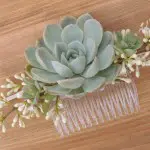 Haircomb