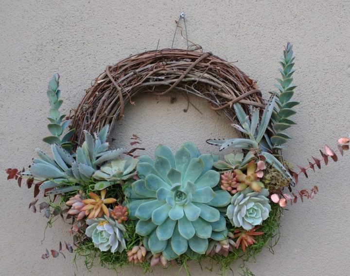 succulent wreath