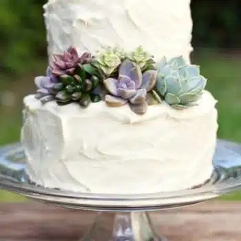 Succulent Cake Toppers