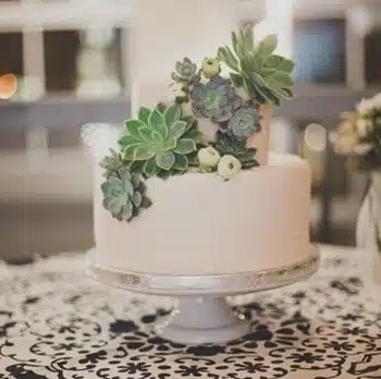 Succulents for Four Layer Cake