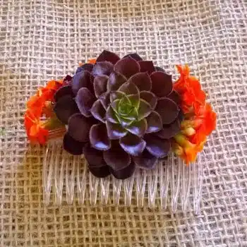 Purple Succulent Hair Comb