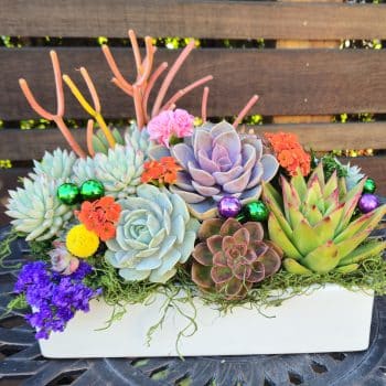 Centerpiece in 12x7 ceramic dish