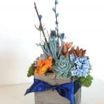 Orange and navy blue succulent arrangement