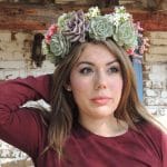 succulent crown