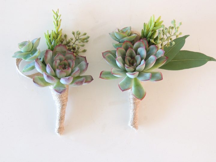 Succulent-boutonnieres