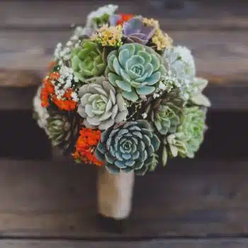 Succulent Bouquet -Danielle